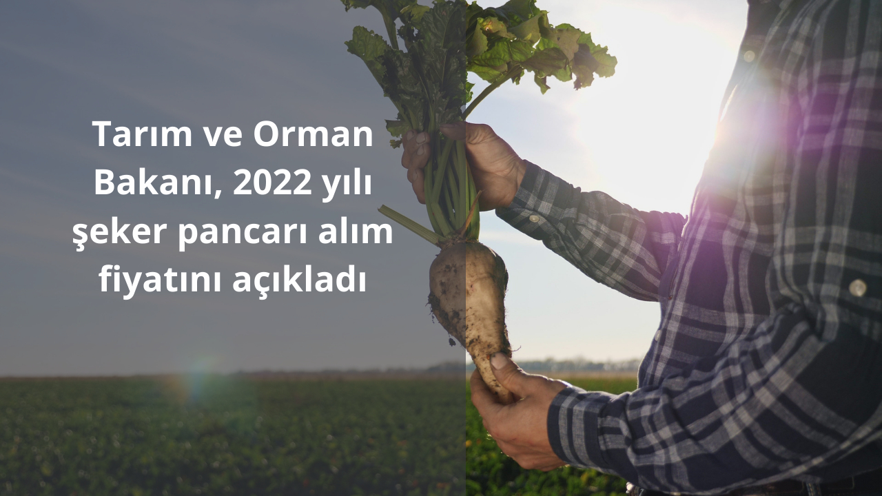 Tarım ve Orman Bakanı, 2022 yılı şeker pancarı alım fiyatını açıkladı