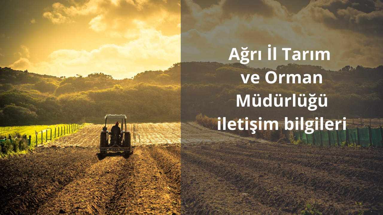 Ağrı İl Tarım ve Orman Müdürlüğü iletişim bilgileri