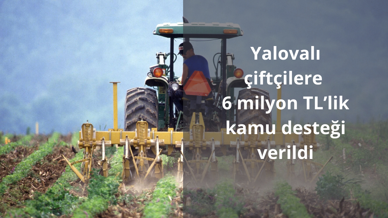 Yalovalı çiftçilere 6 milyon TL’lik kamu desteği verildi