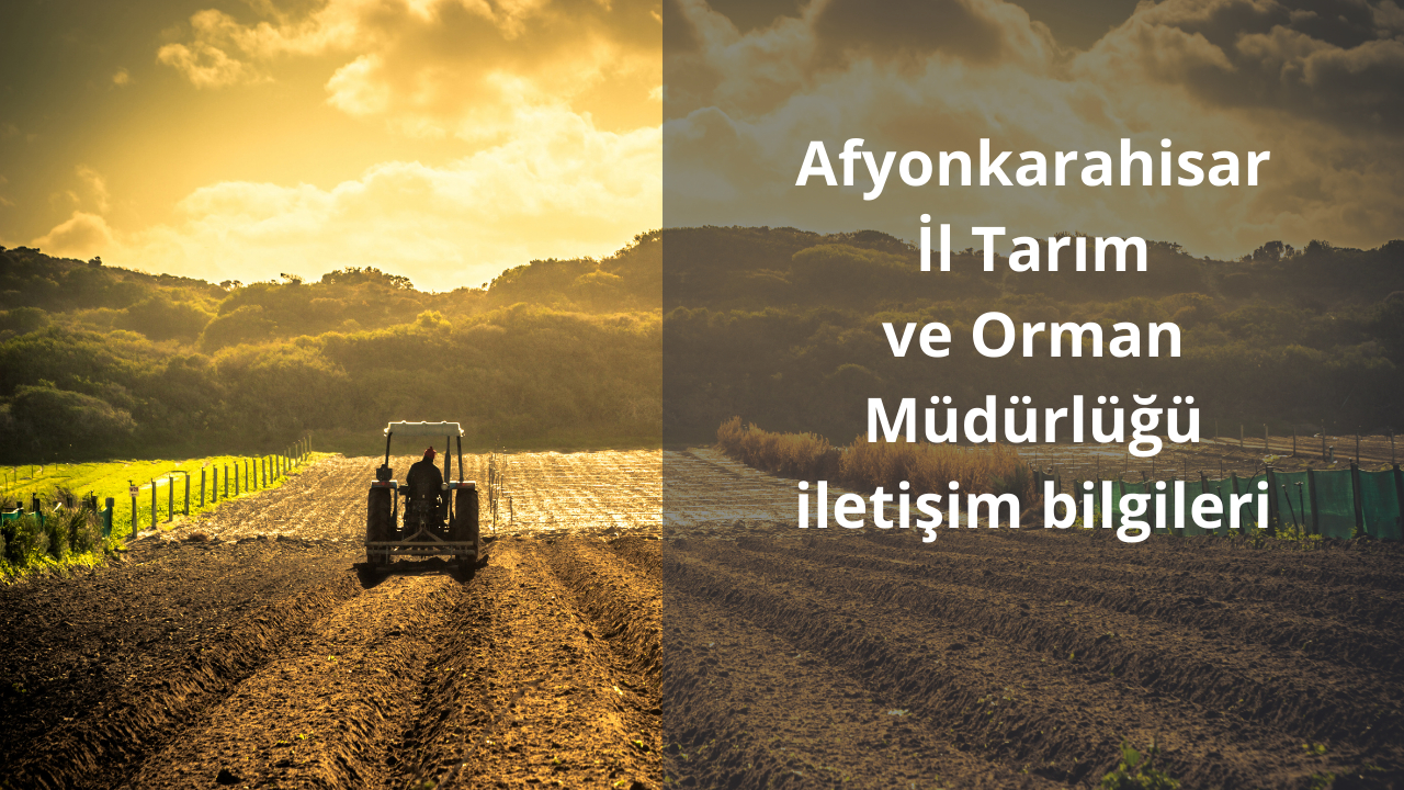 Afyonkarahisar İl Tarım ve Orman Müdürlüğü iletişim bilgileri