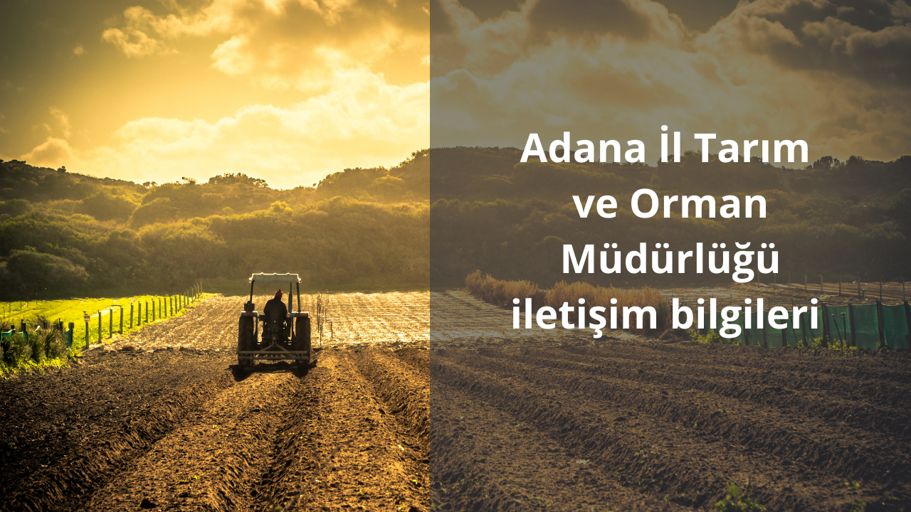 Adana İl Tarım ve Orman Müdürlüğü iletişim bilgileri, adres ve telefon numarası