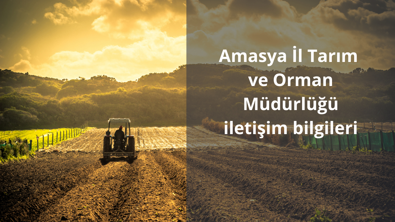 Amasya İl Tarım ve Orman Müdürlüğü iletişim bilgileri