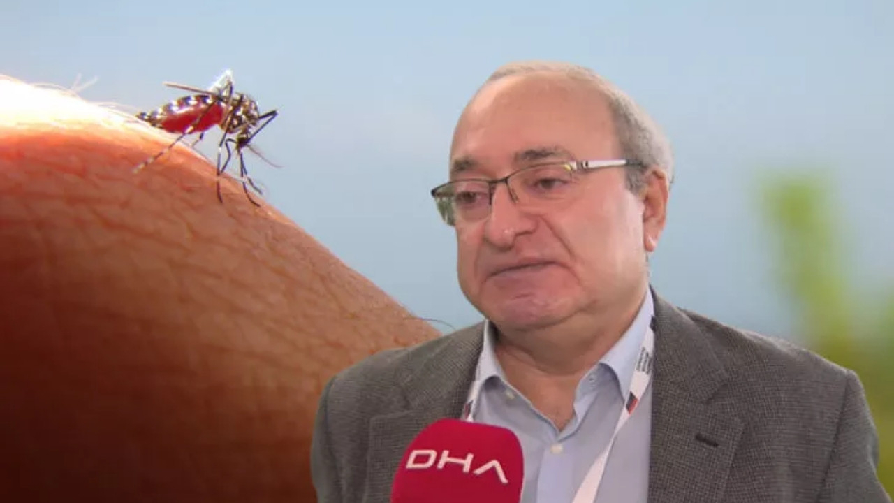 Prof. Dr. Mikdat Kadıoğlu 'Dünyanın en tehlikeli hayvanı' diyerek uyardı: Artış var! Hastalıklara neden oluyor...