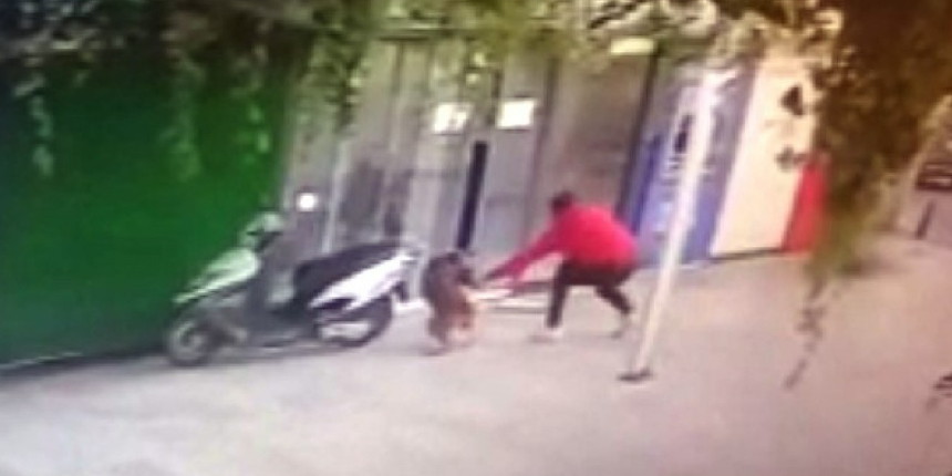 Köpeği bıçaklayarak öldürdü! O anlar kamerada...