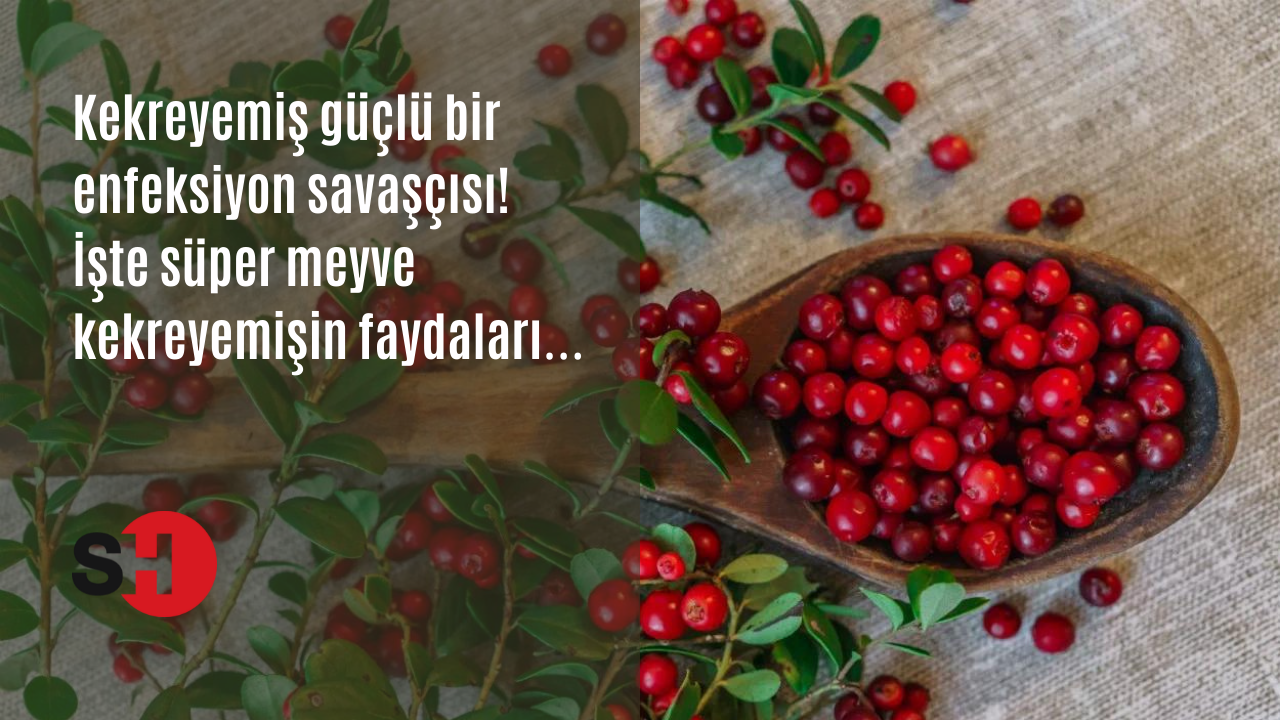 Kekreyemiş güçlü bir enfeksiyon savaşçısı! İşte süper meyve kekreyemişin faydaları…