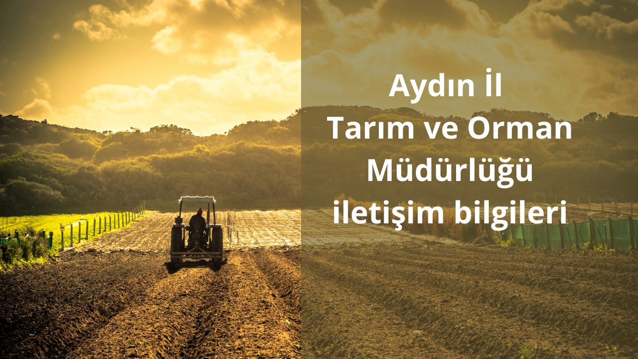 Aydın İl Tarım ve Orman Müdürlüğü iletişim bilgileri
