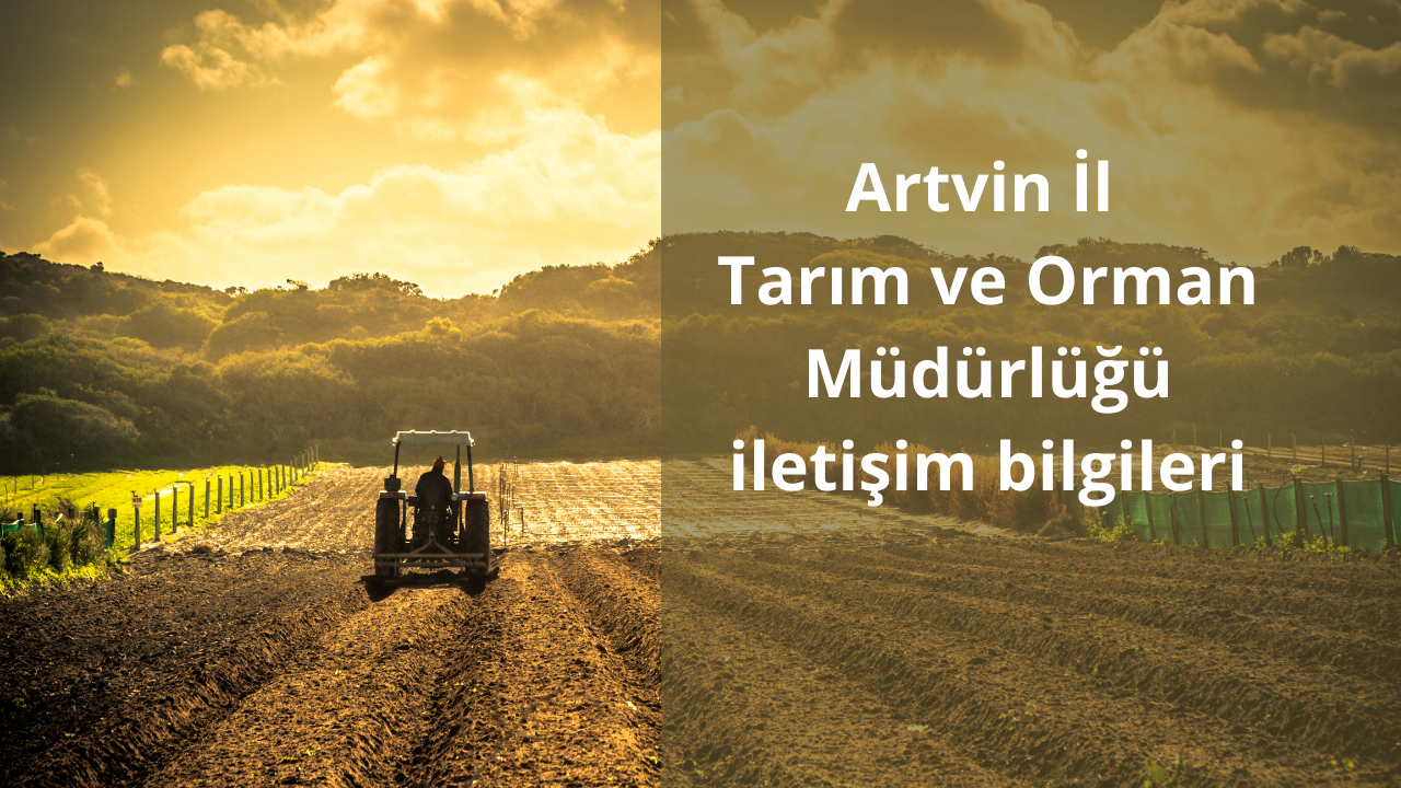 Artvin İl Tarım ve Orman Müdürlüğü iletişim bilgileri