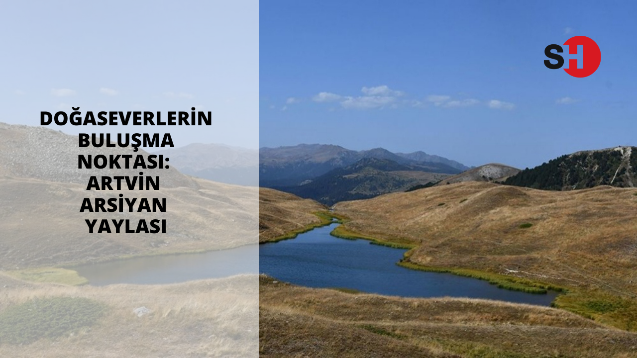 Doğaseverlerin buluşma noktası: Artvin Arsiyan Yaylası