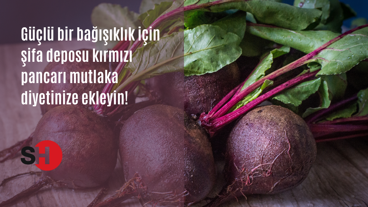 Güçlü bir bağışıklık için şifa deposu kırmızı pancarı mutlaka diyetinize ekleyin!