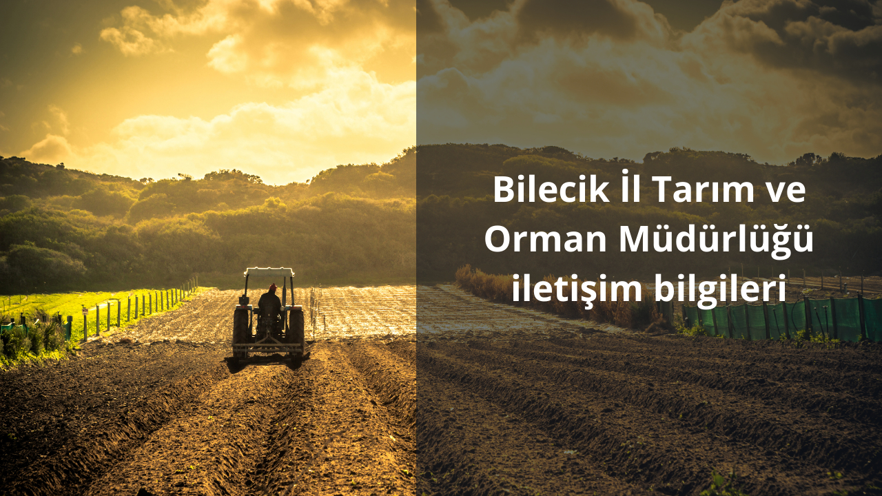 Bilecik İl Tarım ve Orman Müdürlüğü iletişim bilgileri