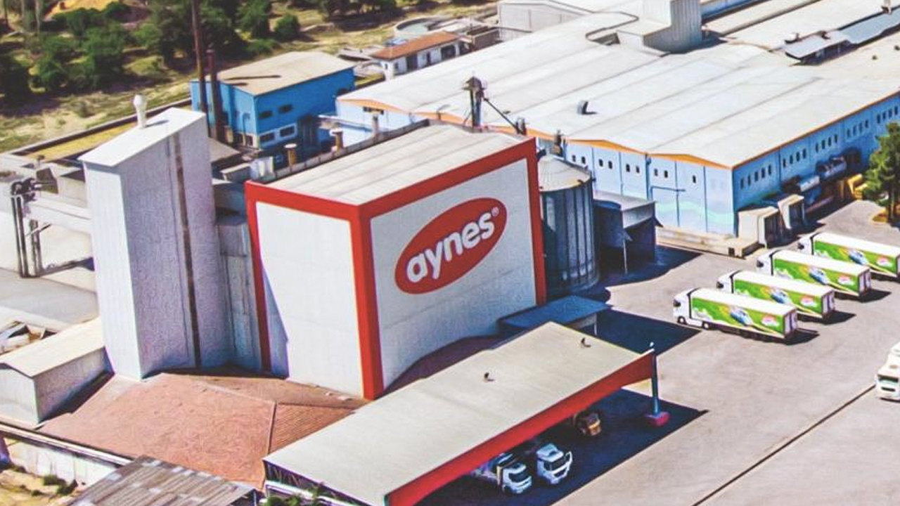 Aynes’in Türkiye Tarım Kredi Kooperatifleri’ne satışı onaylandı