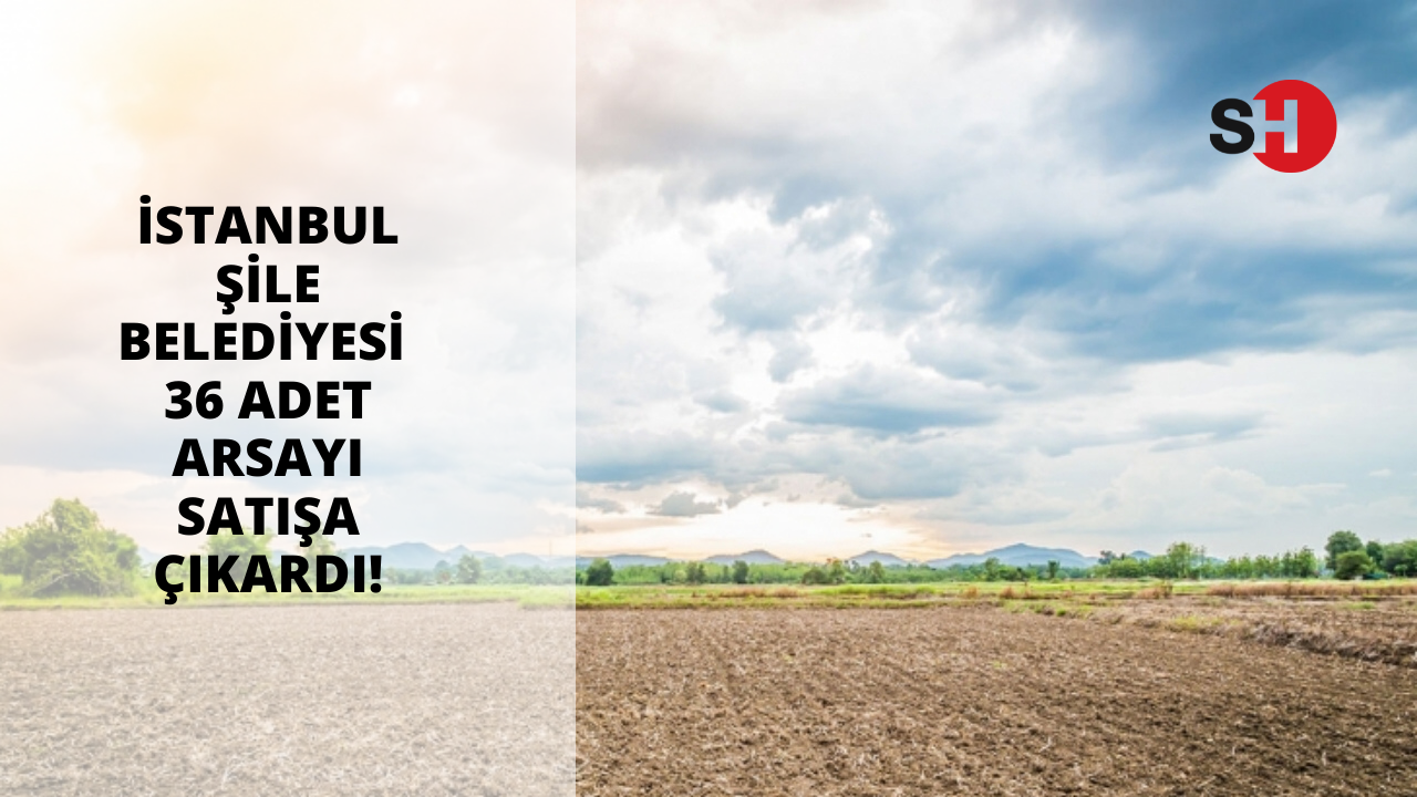 İstanbul Şile Belediyesi 36 adet arsayı satışa çıkardı!