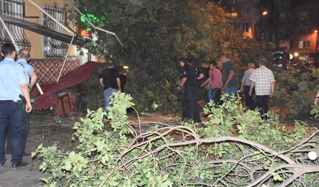 Kadıköy'de ağaç kafede oturanların üzerine devrildi: 3 yaralı...