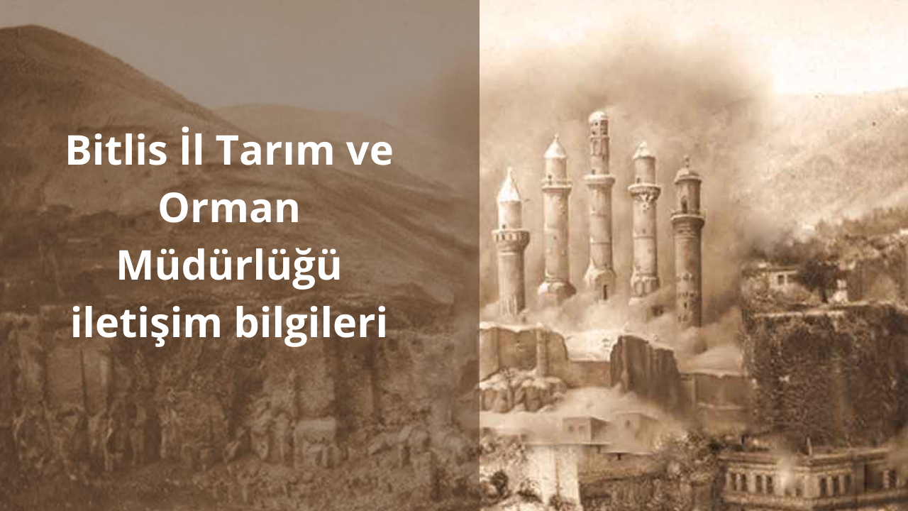 Bitlis İl Tarım ve Orman Müdürlüğü iletişim bilgileri