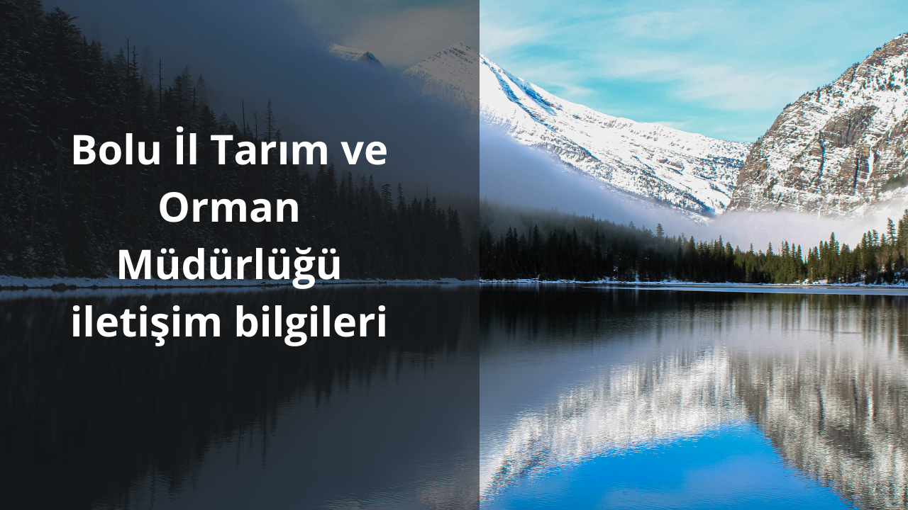 Bolu İl Tarım ve Orman Müdürlüğü iletişim bilgileri