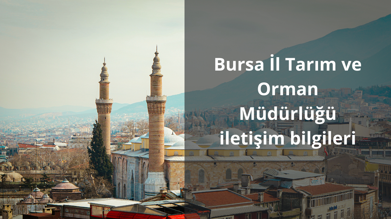 Bursa İl Tarım ve Orman Müdürlüğü iletişim bilgileri