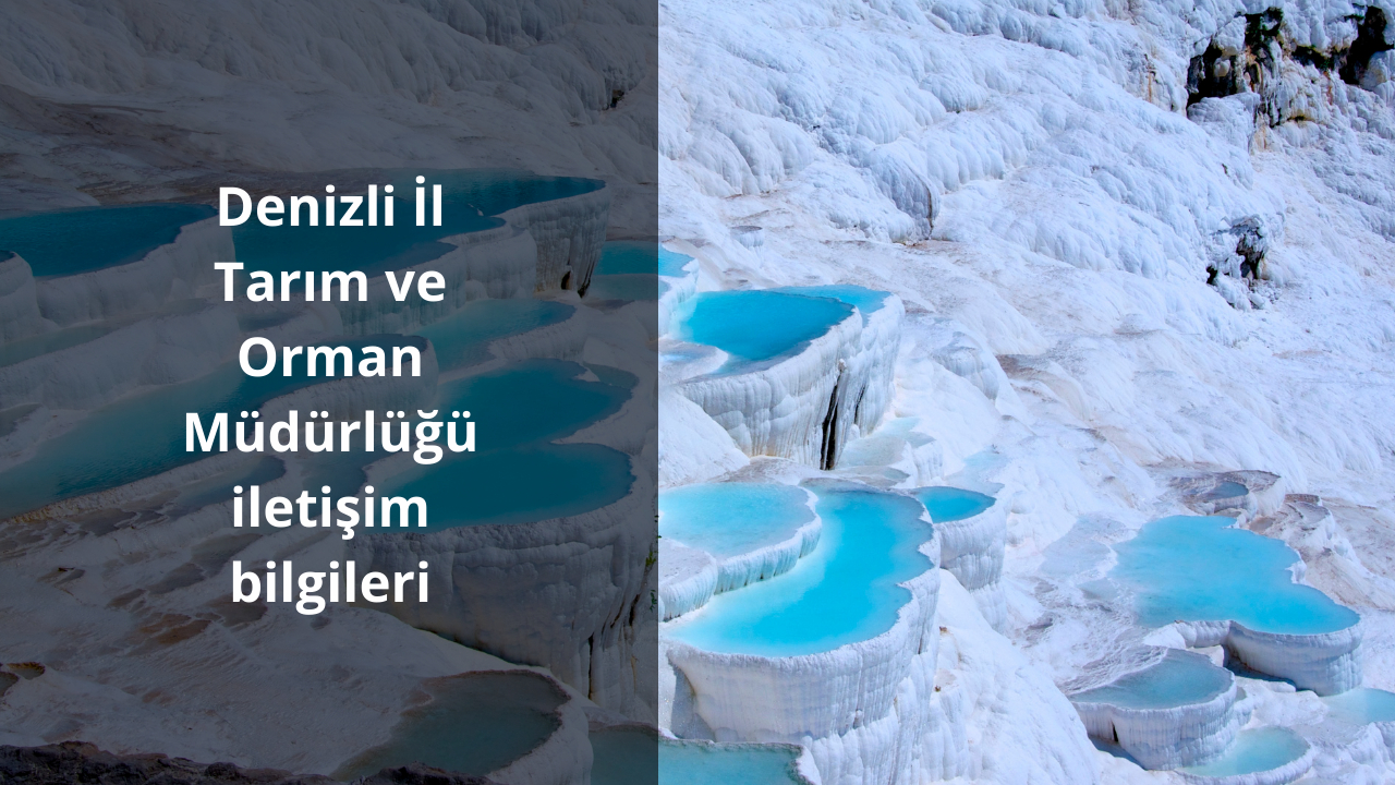 Denizli İl Tarım ve Orman Müdürlüğü iletişim bilgileri