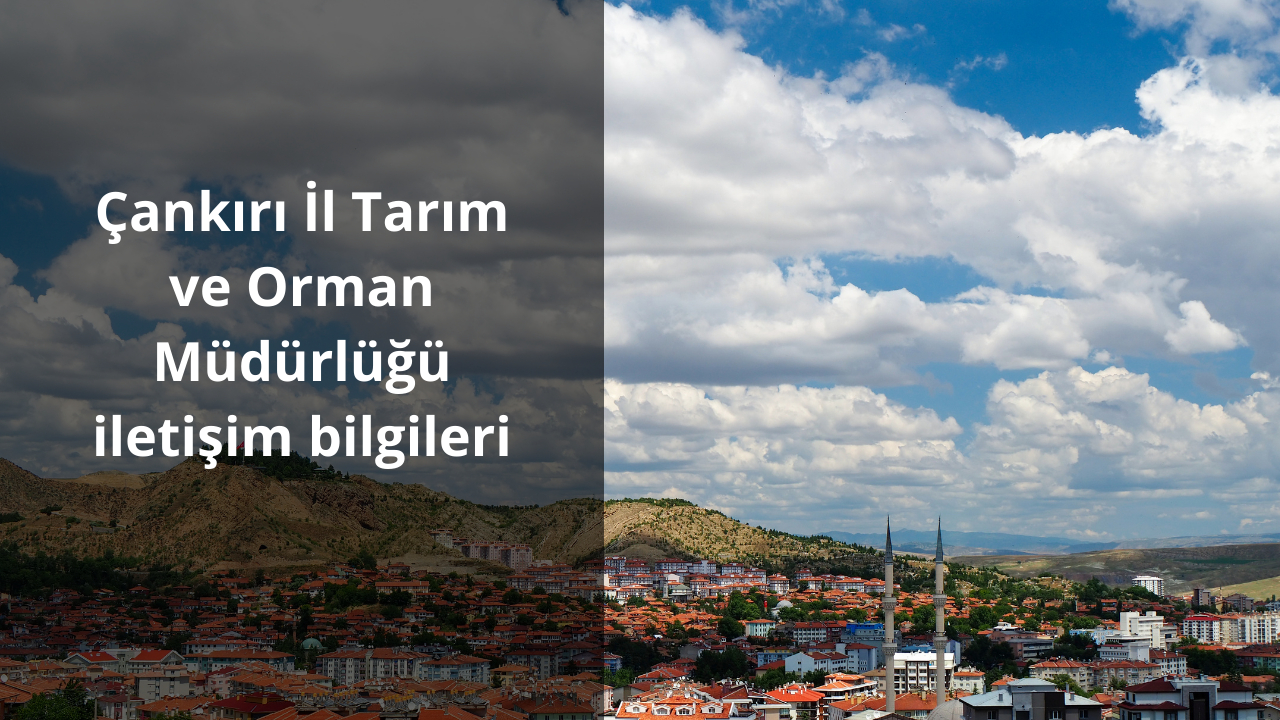 Çankırı İl Tarım ve Orman Müdürlüğü iletişim bilgileri