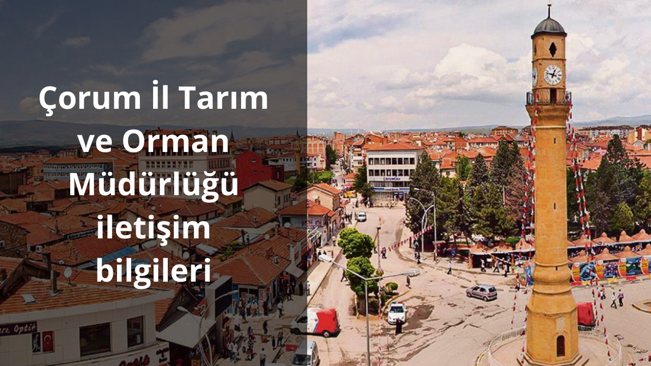 Çorum İl Tarım ve Orman Müdürlüğü iletişim bilgileri