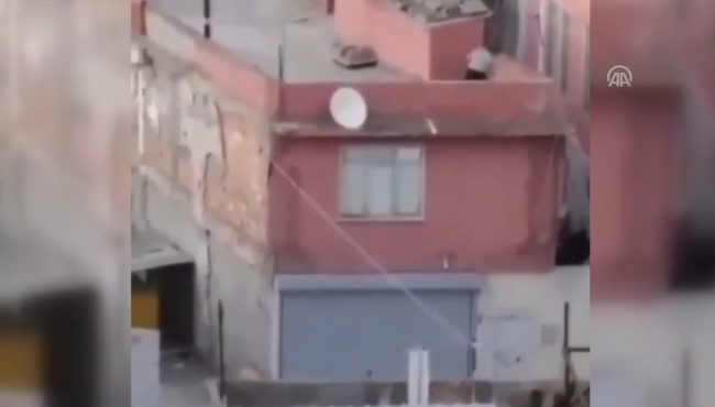 İki köpeğe kemerle böyle işkence yaptı...