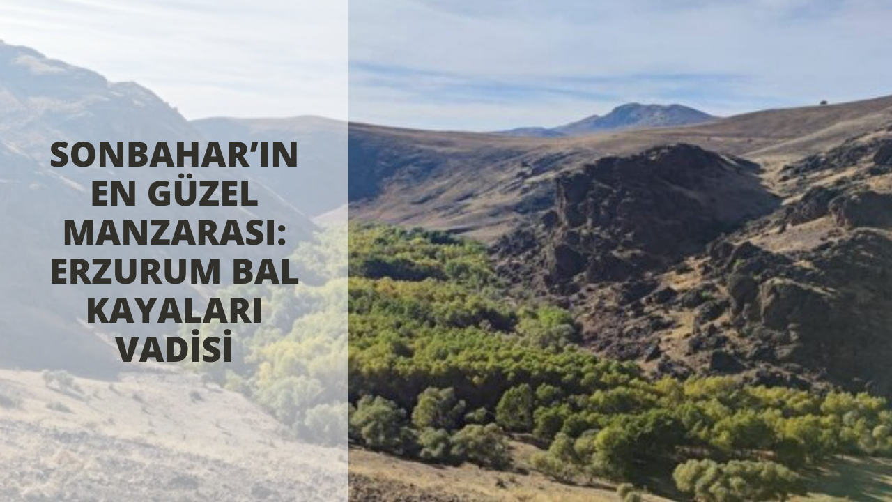Sonbahar’ın en güzel manzarası: Erzurum Bal kayaları vadisi