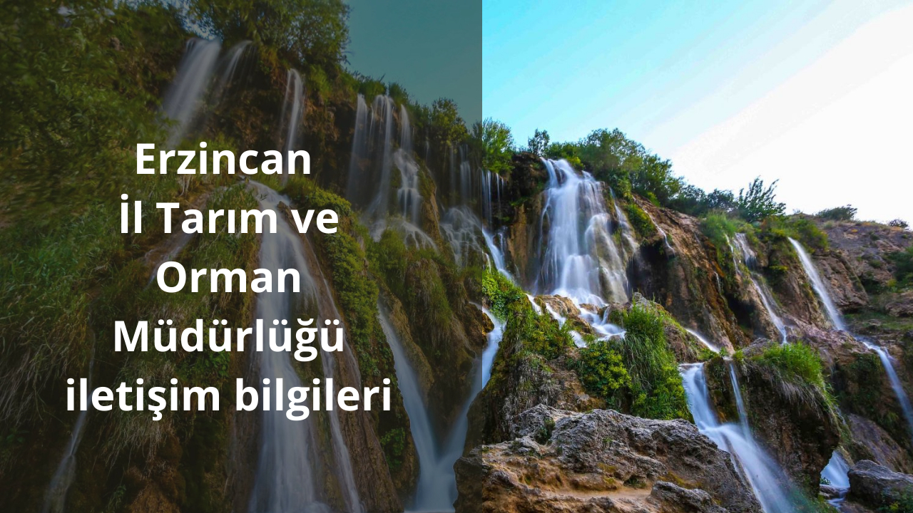 Erzincan İl Tarım ve Orman Müdürlüğü iletişim bilgileri