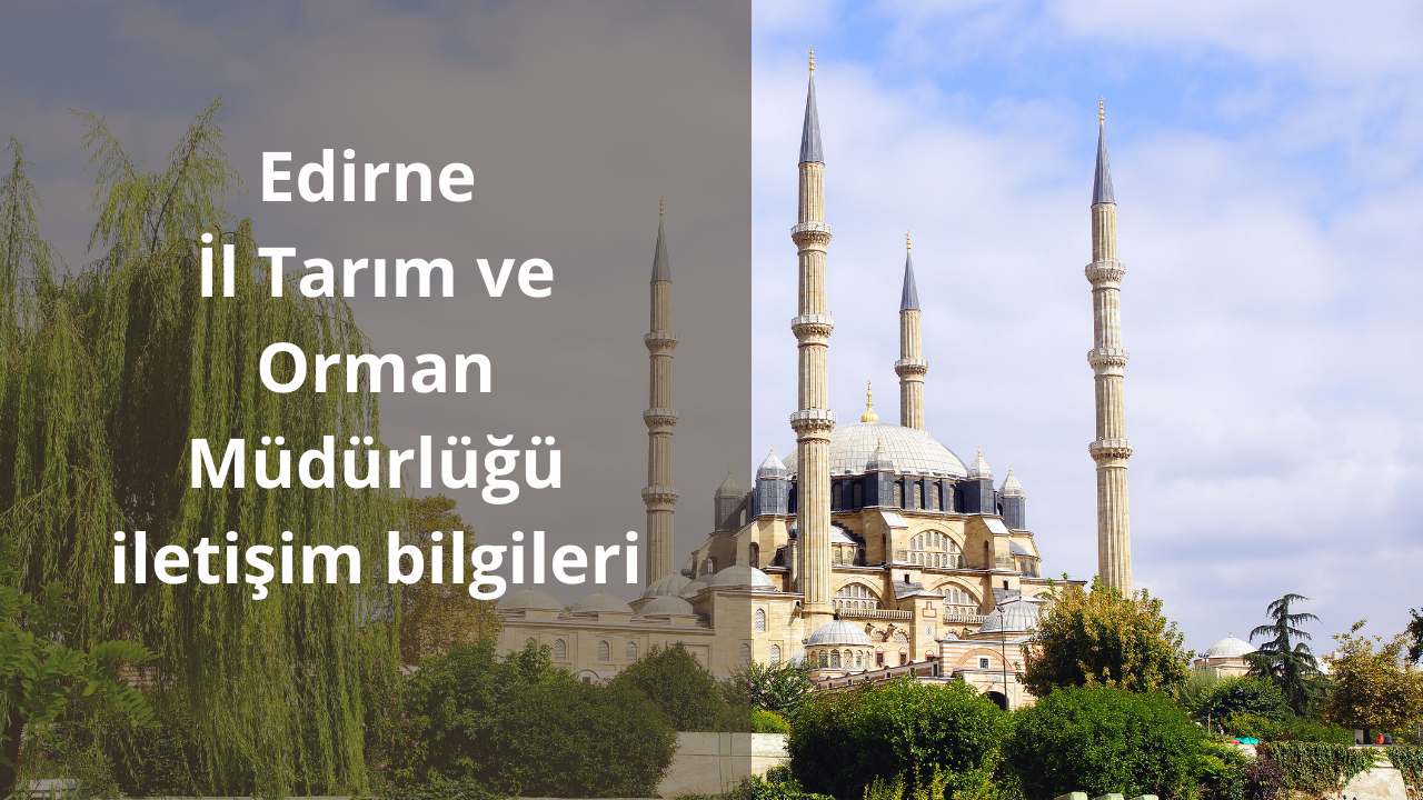 Edirne İl Tarım ve Orman Müdürlüğü iletişim bilgileri