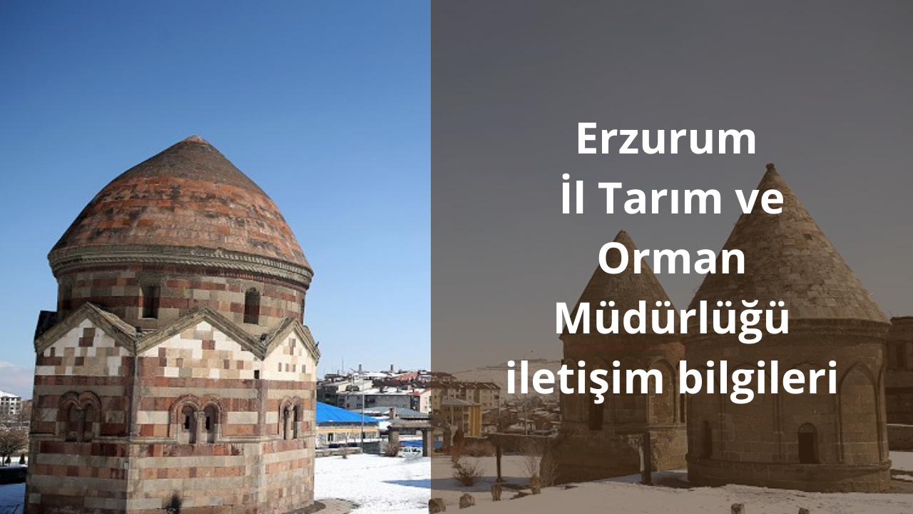 Erzurum İl Tarım ve Orman Müdürlüğü iletişim bilgileri