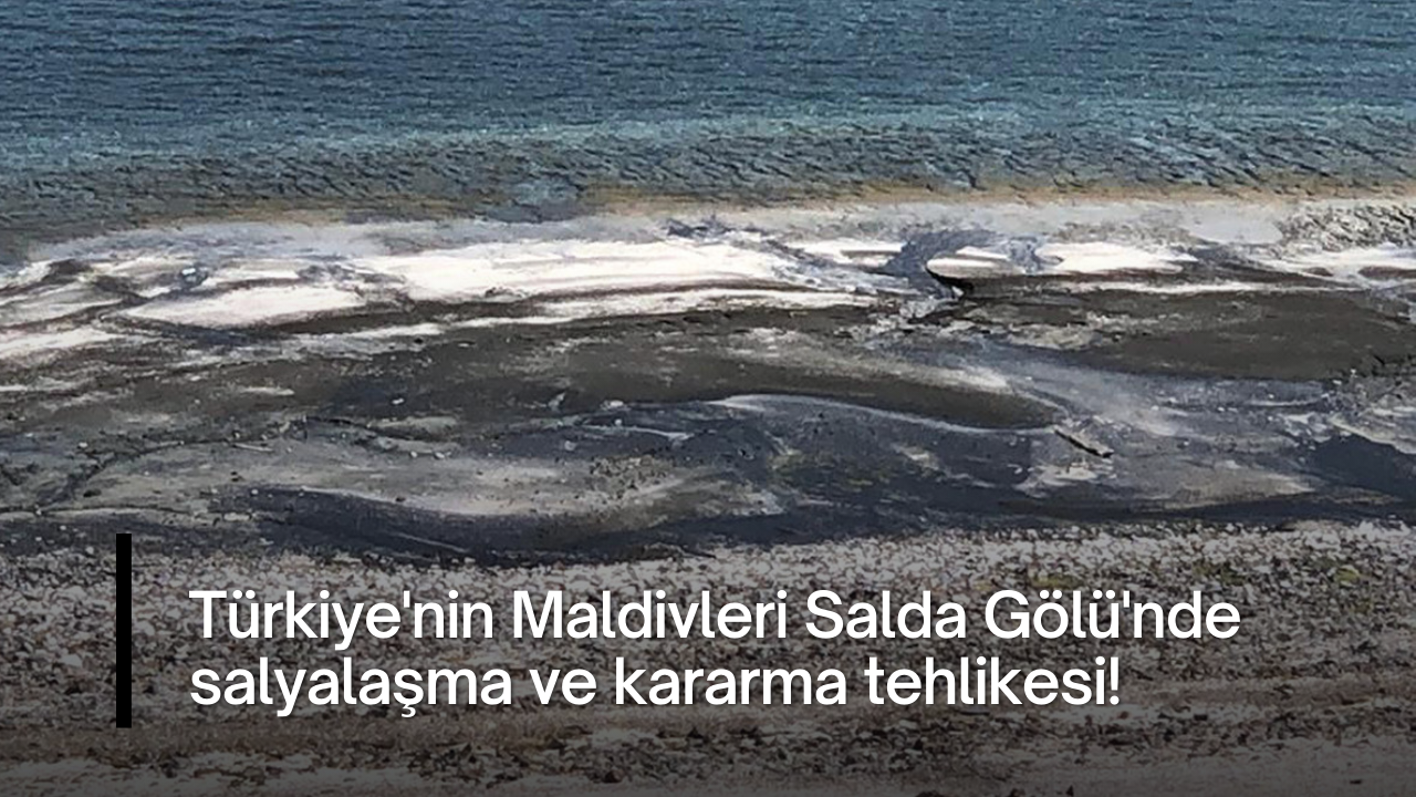 Türkiye'nin Maldivleri Salda Gölü'nde salyalaşma ve kararma tehlikesi!