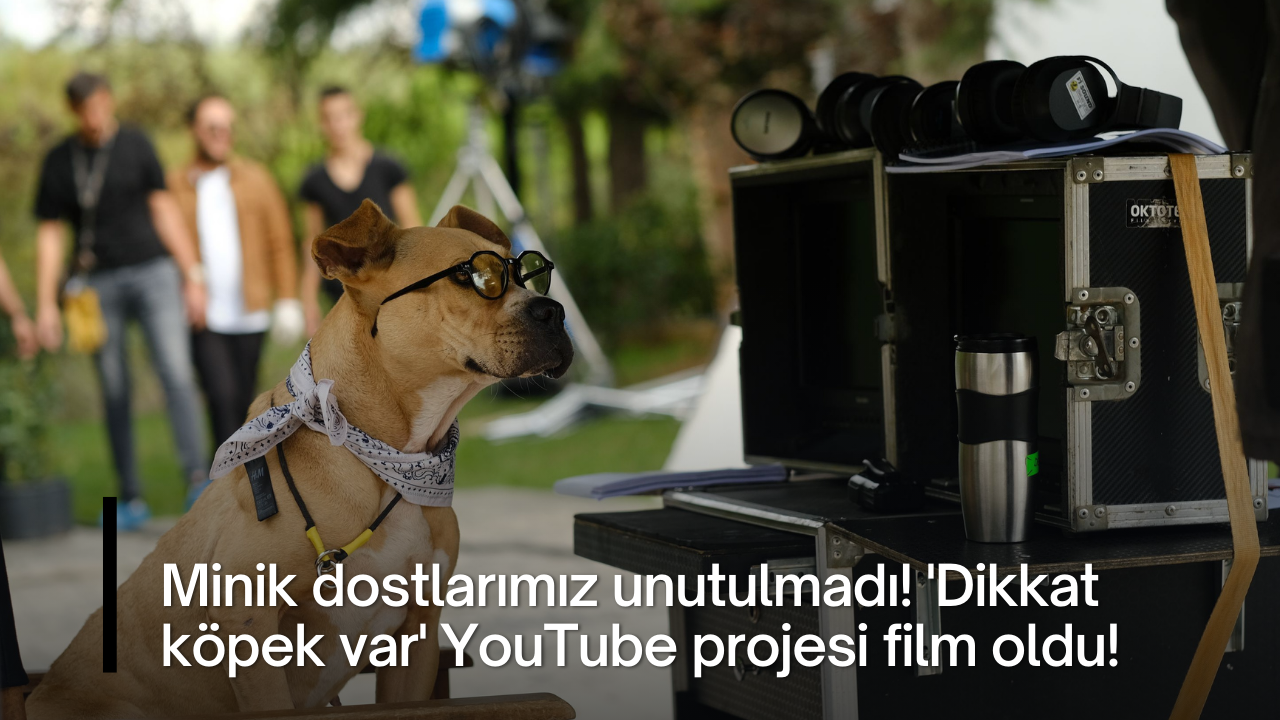 Minik dostlarımız unutulmadı! 'Dikkat köpek var' YouTube projesi film oldu!