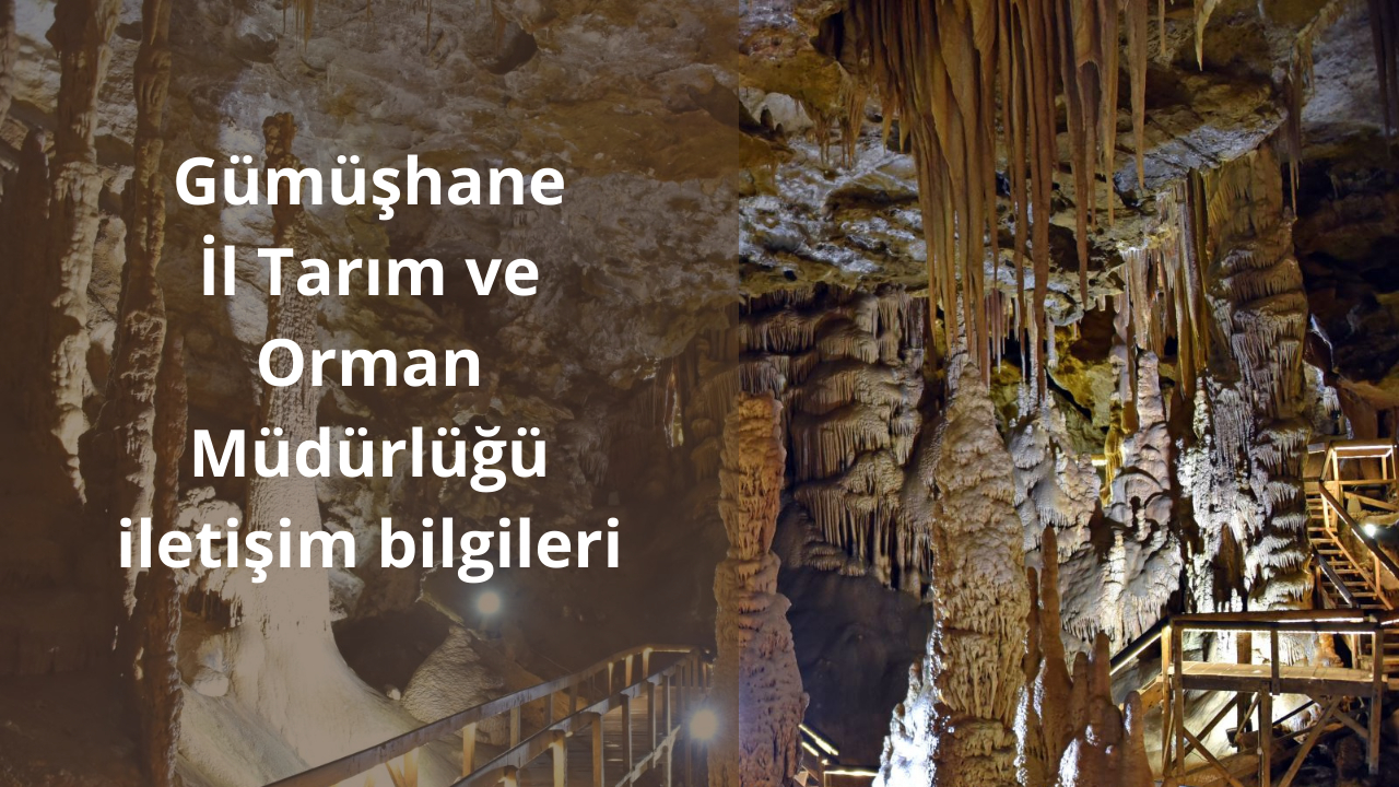 Gümüşhane İl Tarım ve Orman Müdürlüğü iletişim bilgileri