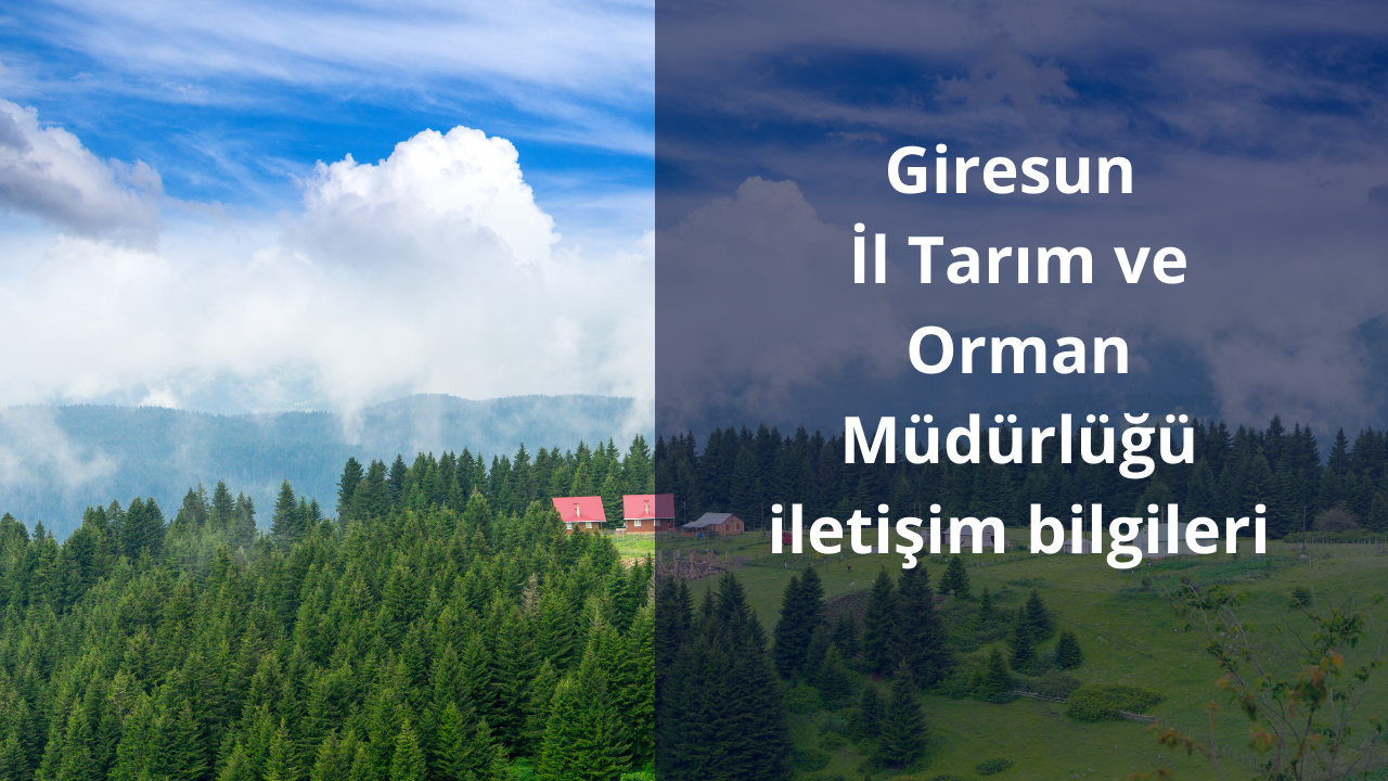Giresun İl Tarım ve Orman Müdürlüğü iletişim bilgileri