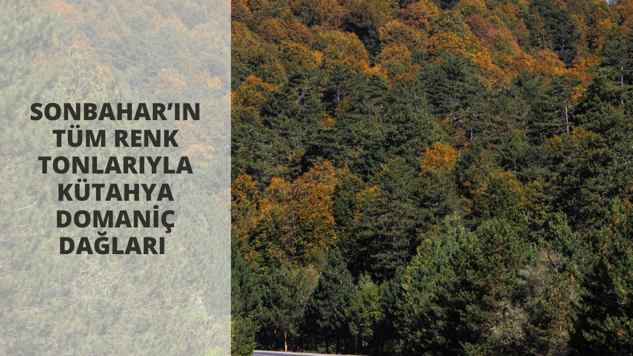 Sonbahar’ın tüm renk tonlarıyla Kütahya Domaniç Dağları