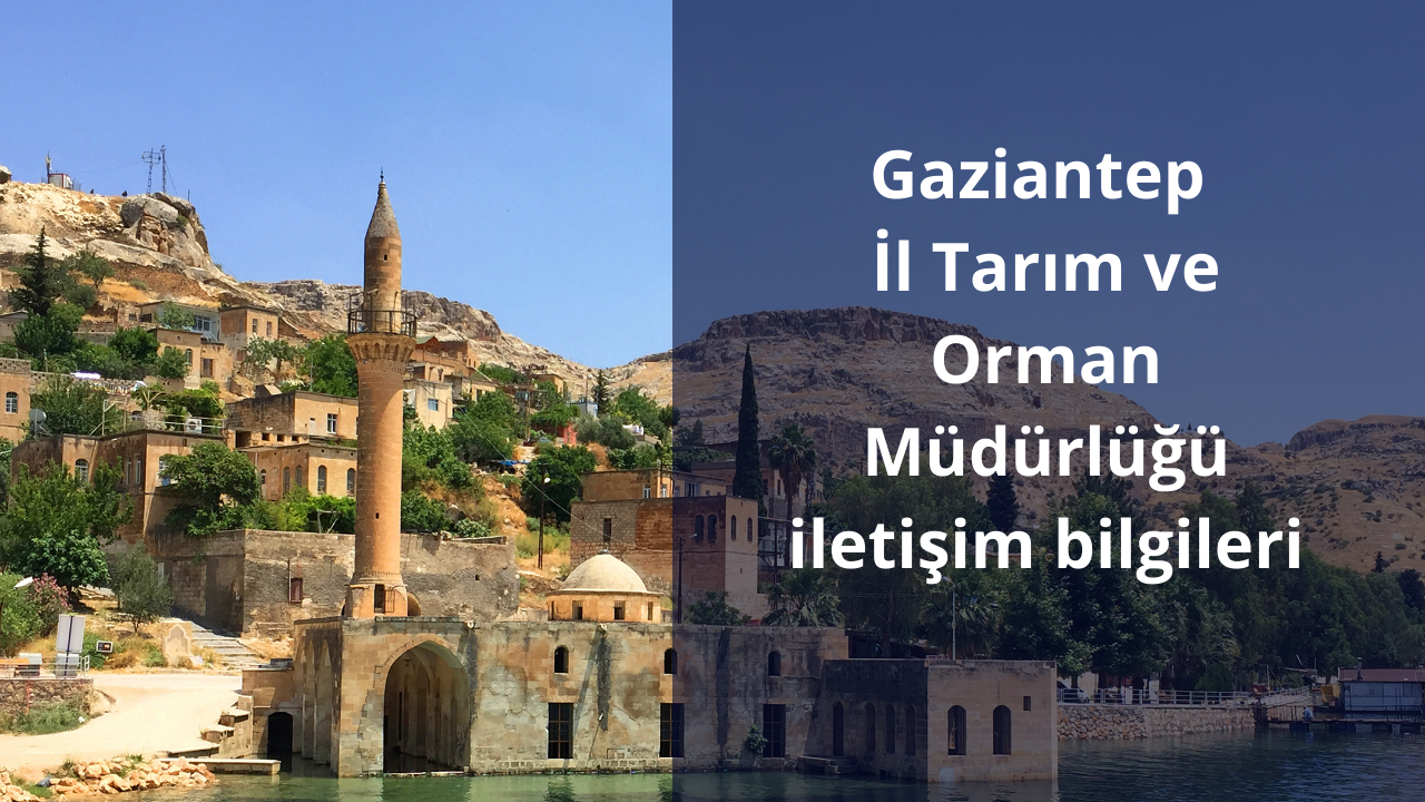 Gaziantep İl Tarım ve Orman Müdürlüğü iletişim bilgileri