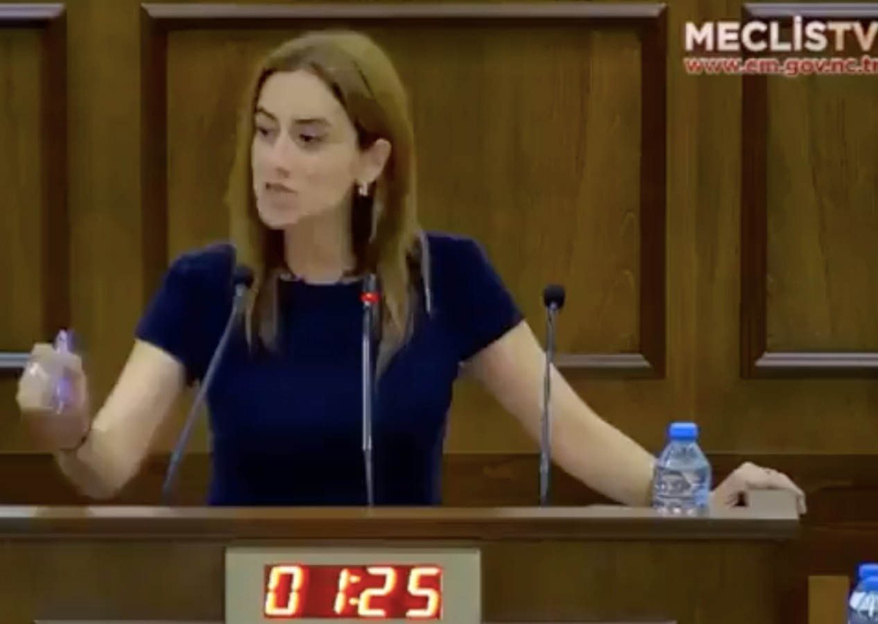 KKTC'li milletvekilinden skandal sözler: Meclis'te Türkiye'yi hedef aldı