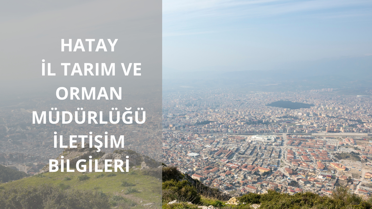 Hatay İl Tarım ve Orman Müdürlüğü iletişim bilgileri