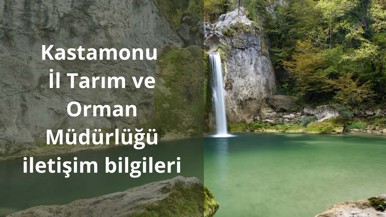 Kastamonu İl Tarım ve Orman Müdürlüğü iletişim bilgileri