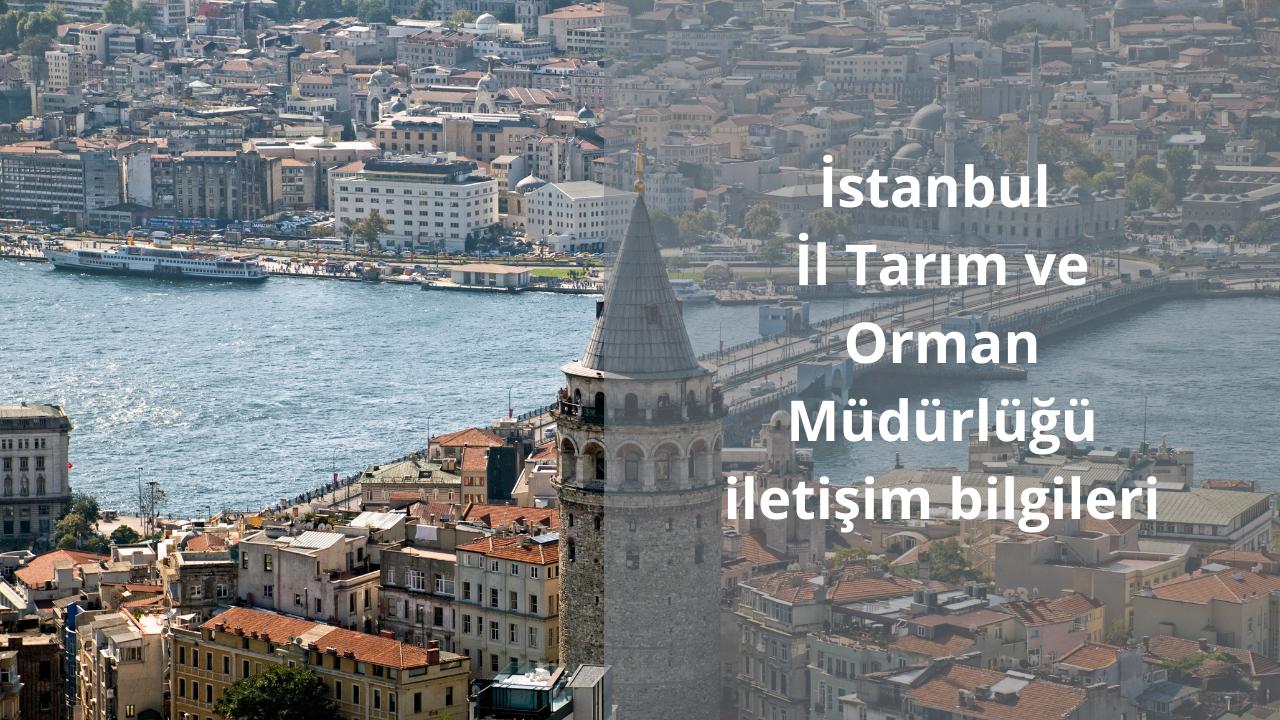 İstanbul İl Tarım ve Orman Müdürlüğü iletişim bilgileri