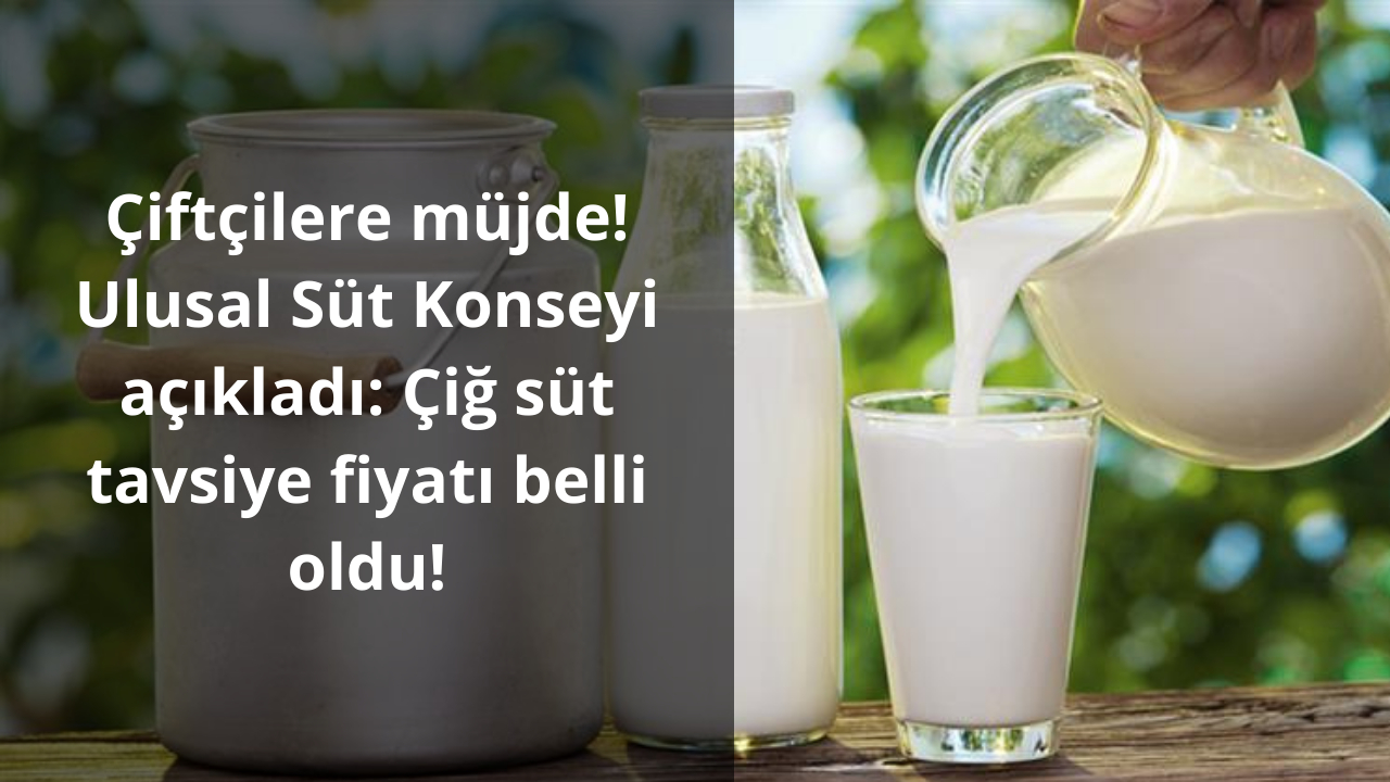 Çiftçilere müjde! Ulusal Süt Konseyi açıkladı: Çiğ süt tavsiye fiyatı belli oldu!