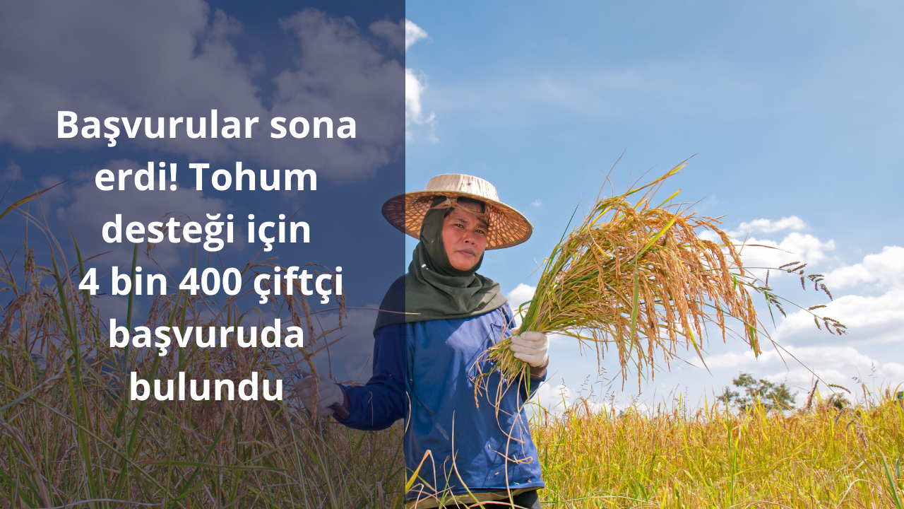 Başvurular sona erdi! Tohum desteği için 4 bin 400 çiftçi başvuruda bulundu