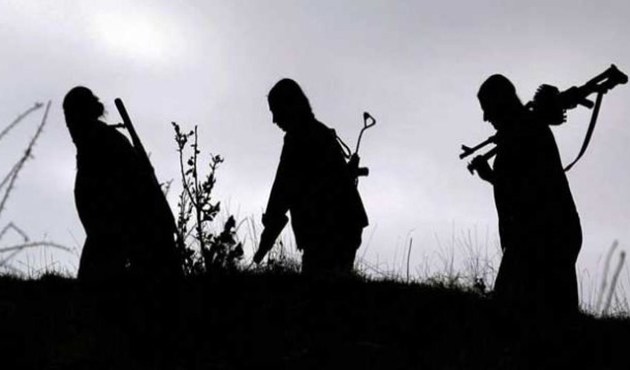 Gri listedeki PKK'lı hain Bingöl'de öldürüldü...