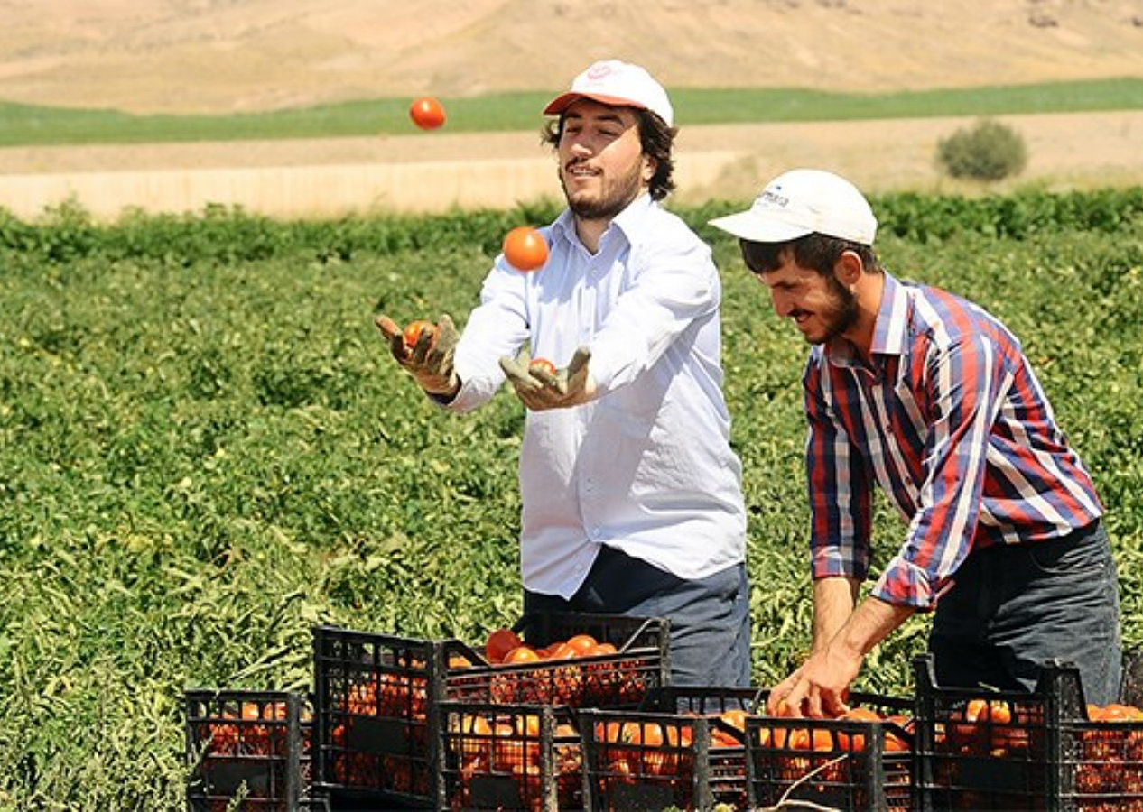 Tarımsal üretimde devrim gibi kararlar alındı: Üreticinin isteklerine göre hazırlanan yönetmelik devrede