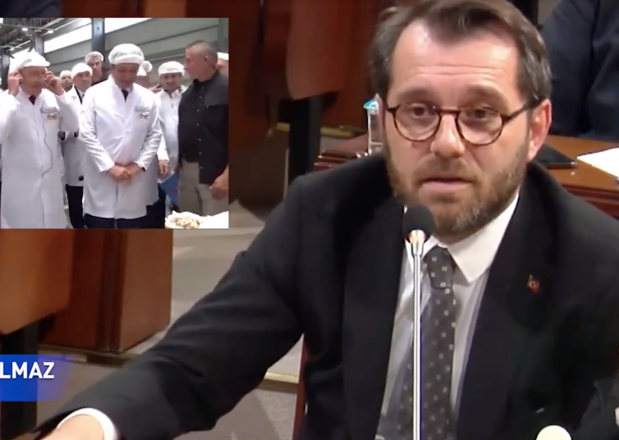 İş var, icraat yok: İBB'nin 3 yılda açtığı Hadımköy'deki ekmek fabrikasında aylardır ekmek üretilmiyor!