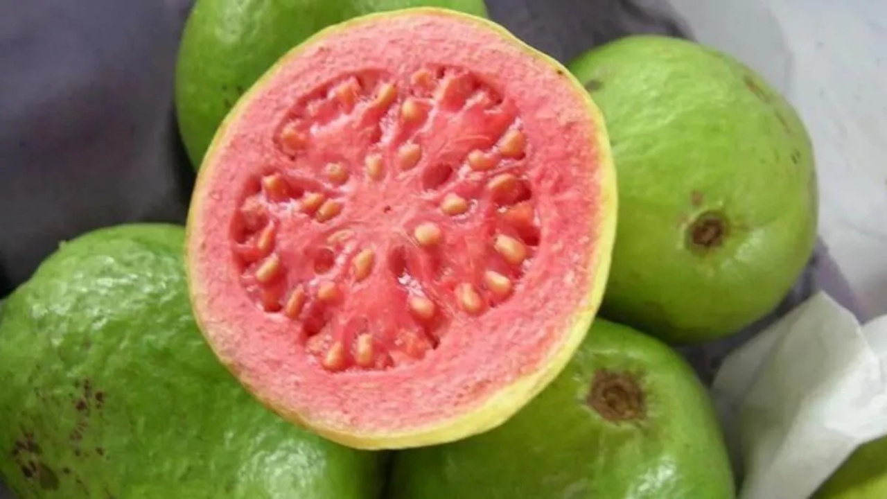 C Vitaminiyle Turunçgilleri Solluyor! Kırmızı Guava Meyvesi Nedir, Nasıl Yenir?