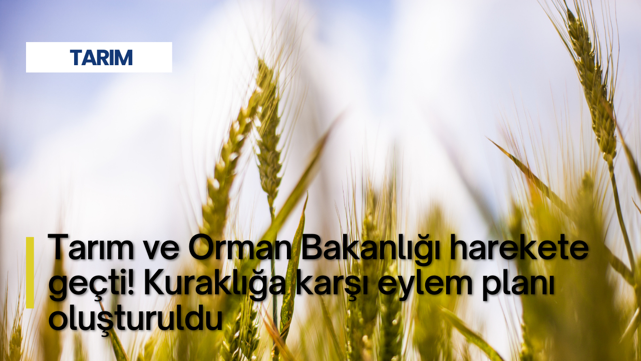 Tarım ve Orman Bakanlığı harekete geçti! Kuraklığa karşı eylem planı oluşturuldu
