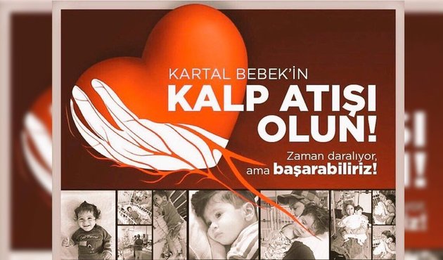 Türkiye, Kartal bebeği kurtarmak için seferber oldu... Gerekli para toplandı!
