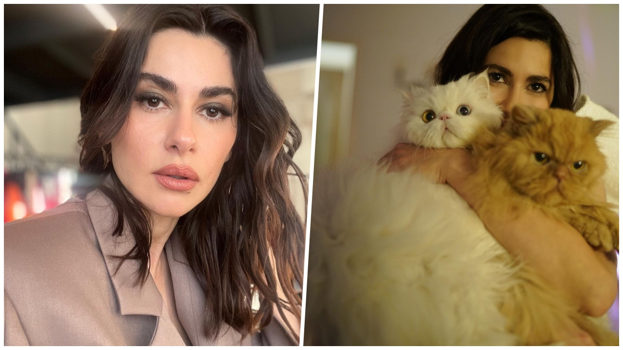 Nesrin Cavadzade'yi yıkan ölüm!  Acı haberi bu sözlerle duyurdu...