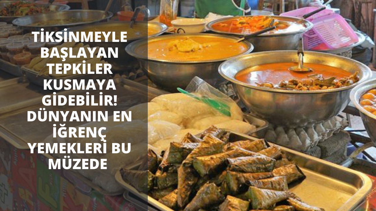 Tiksinmeyle başlayan tepkiler kusmaya gidebilir! Dünyanın en iğrenç yemekleri bu müzede