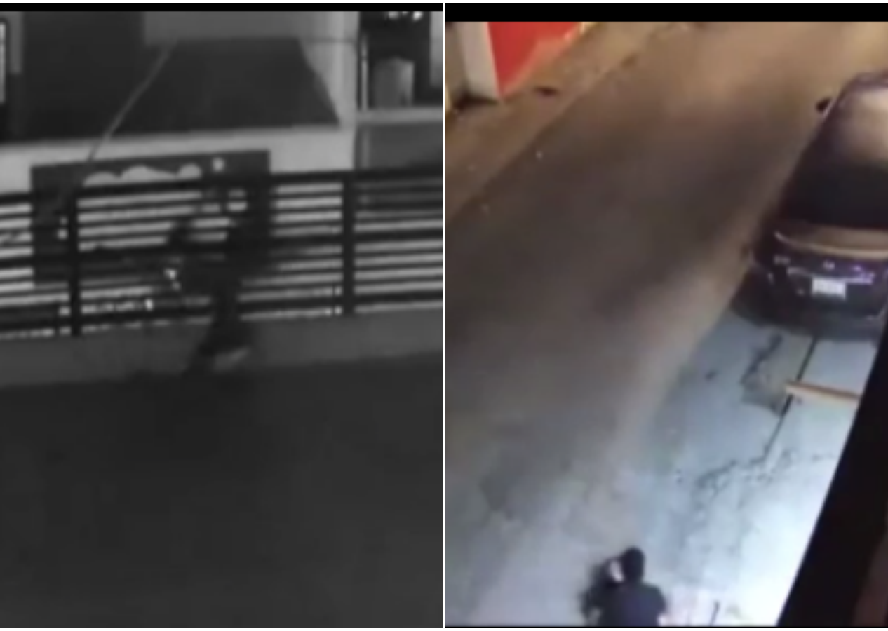 Eve giren hırsıza köpek şoku: Kaçmak için çatıdan atladı, emekleyerek kaçtı
