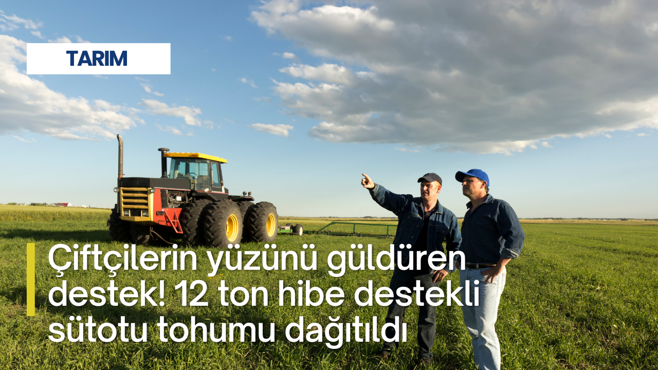 Çiftçilerin yüzünü güldüren destek! 12 ton hibe destekli sütotu tohumu dağıtıldı